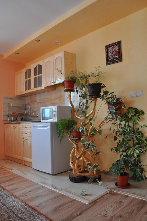 Guest House Eli Сапарева-Баня Номер фото
